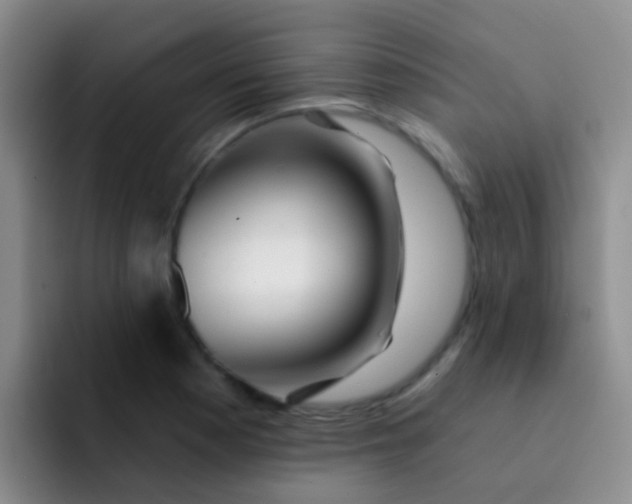 X0000091931177200709261909