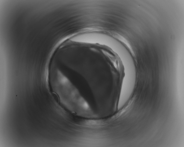 X0000091931179200709261909