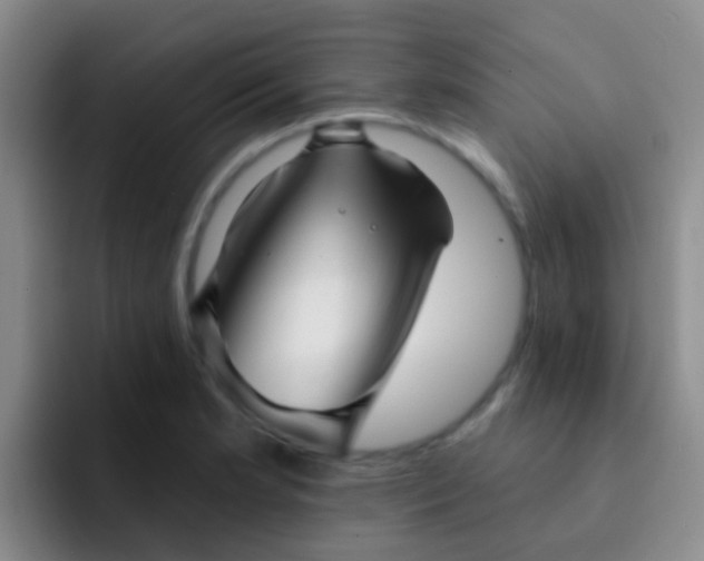 X0000091931181200709261909