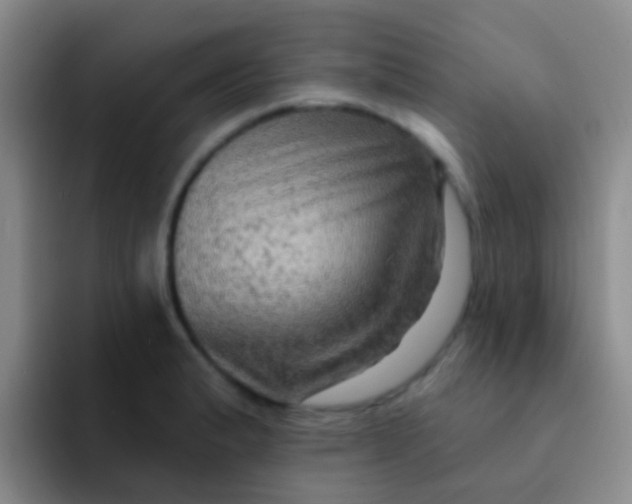 X0000091931183200709261909