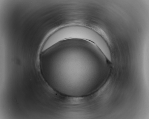 X0000091931184200709261909
