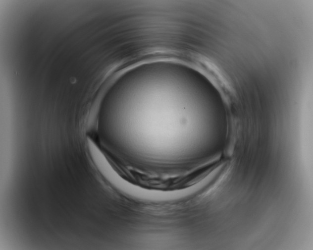 X0000091931185200709261909