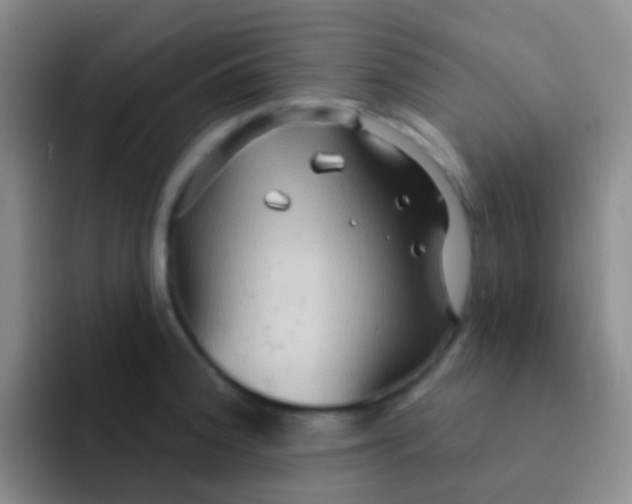 X0000091931188200709261908