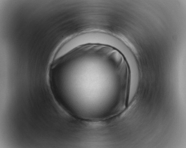 X0000091931189200709261908