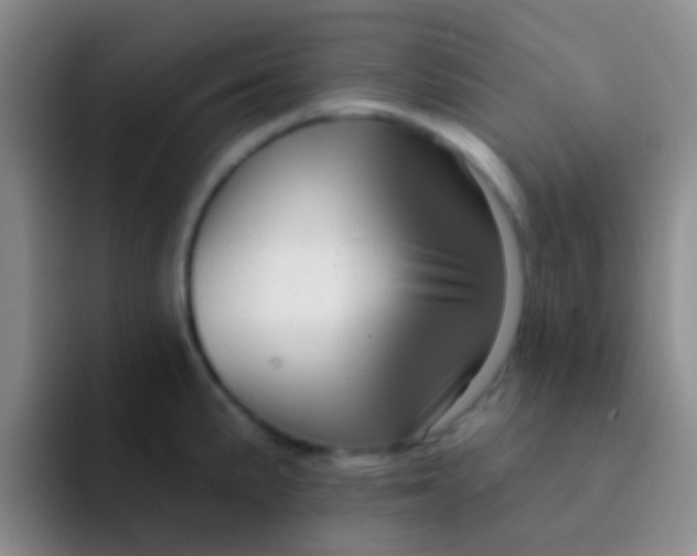 X0000091931191200709261908