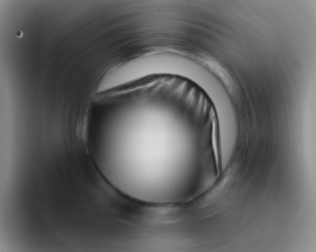 X0000091931193200709261908
