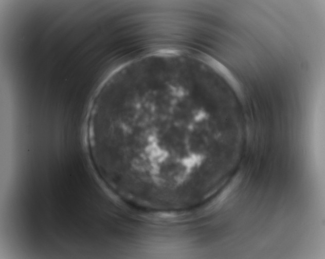 X0000091931194200709261908