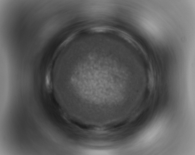 X0000091931198200709261908