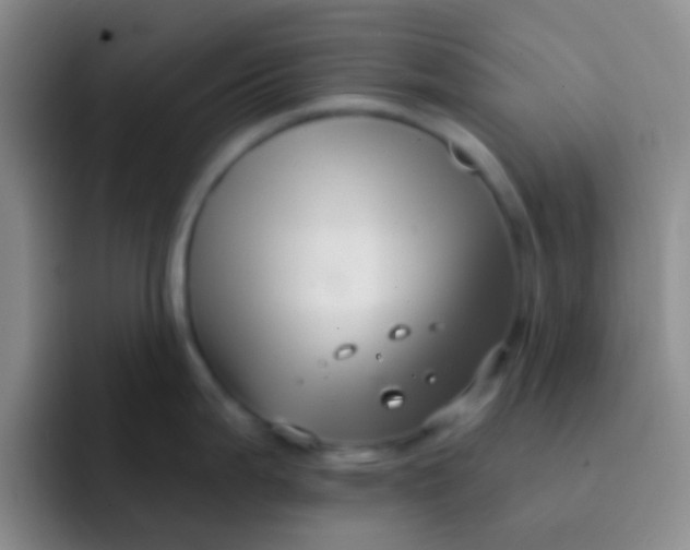 X0000091931199200709261908