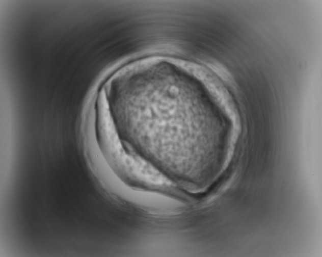 X0000091931200200709261908