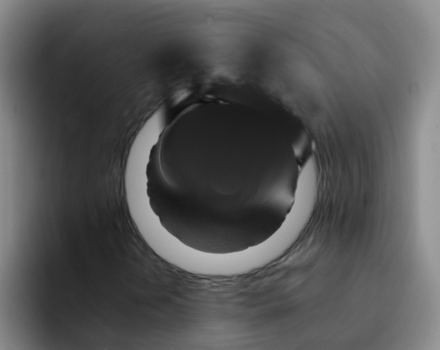 X0000091931202200709261908