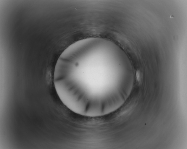 X0000091931203200709261908