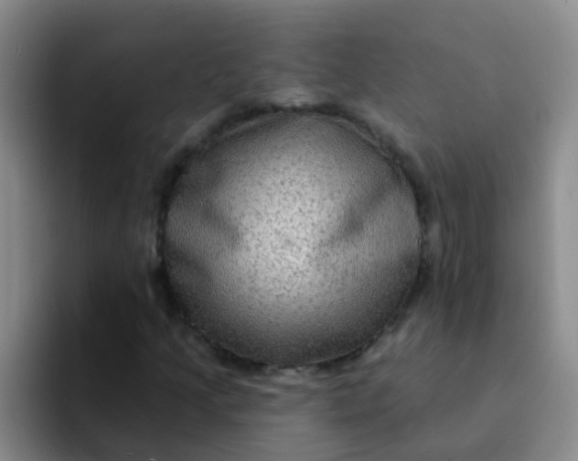 X0000091931205200709261908