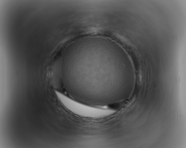 X0000091931206200709261908