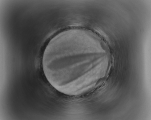 X0000091931208200709261908