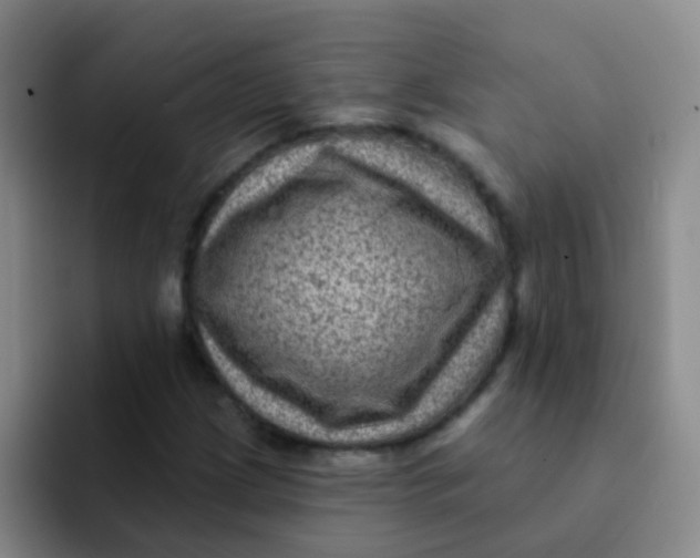 X0000091931209200709261908