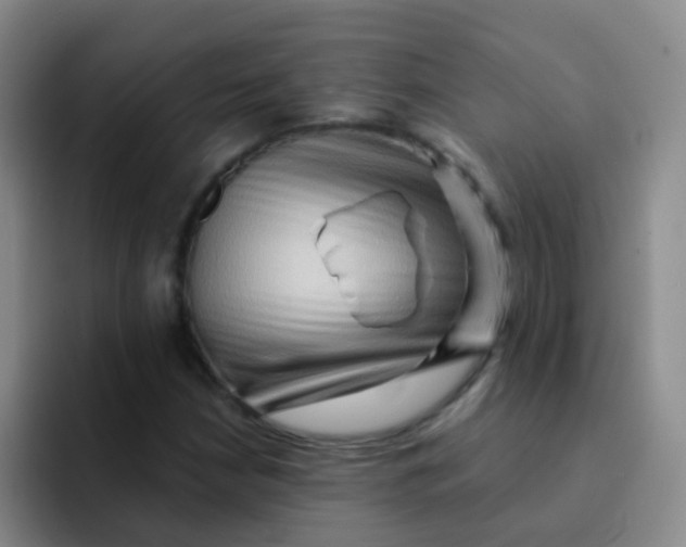 X0000091931210200709261908