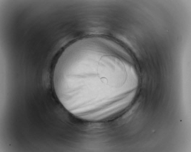 X0000091931211200709261908