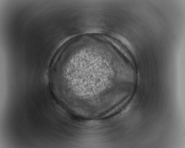X0000091931212200709261908