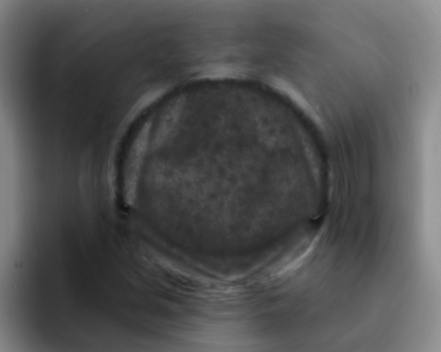 X0000091931213200709261908