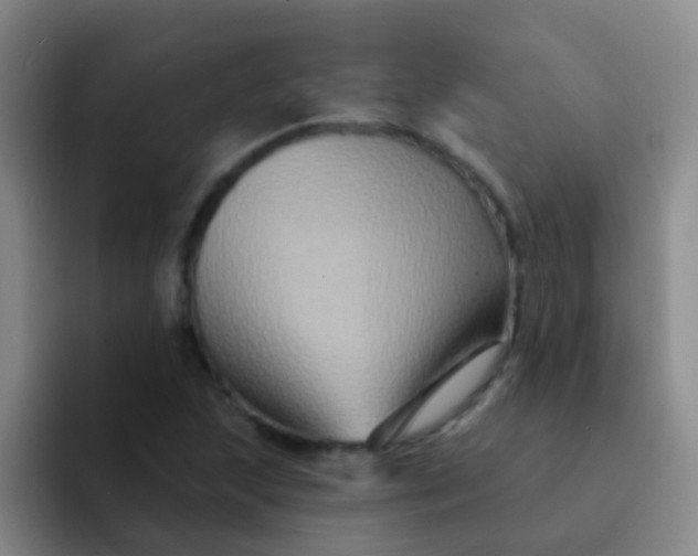 X0000091931215200709261908