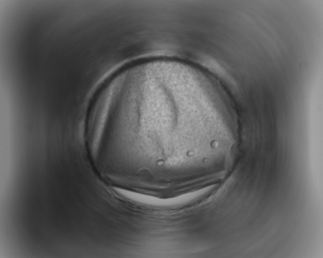 X0000091931216200709261908