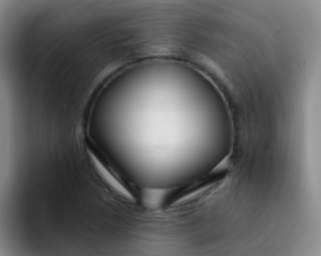 X0000091931218200709261908