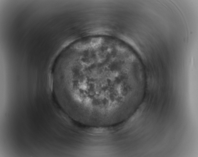 X0000091931219200709261908