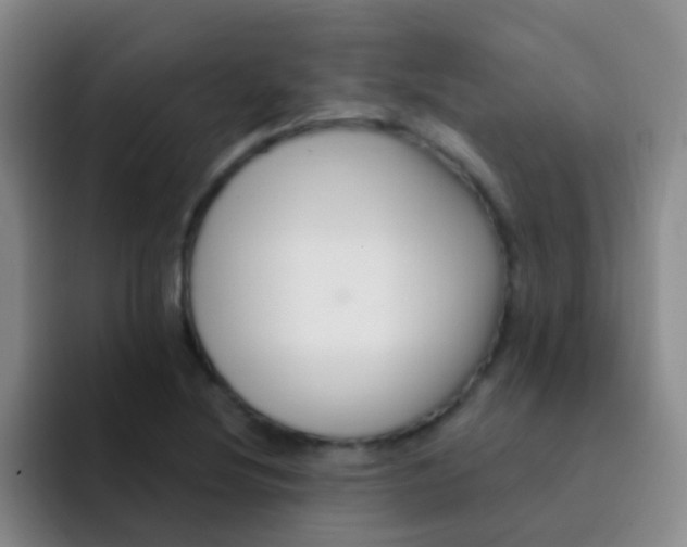 X0000091931220200709261908