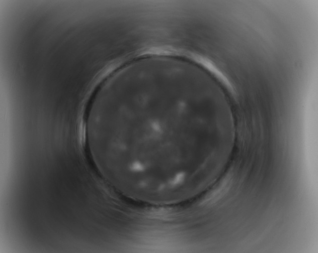 X0000091931221200709261908