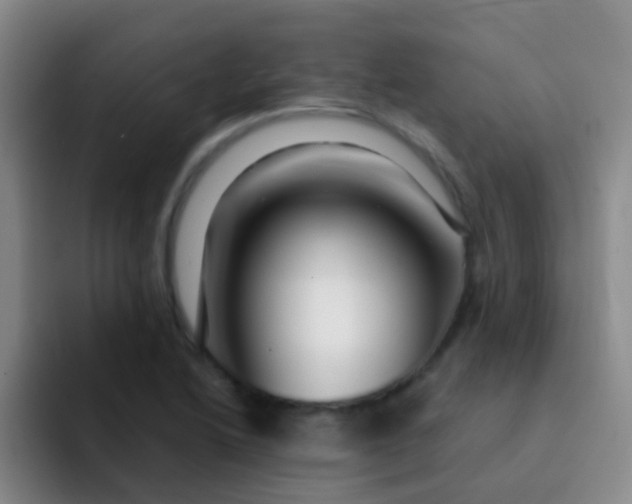 X0000091931222200709261908