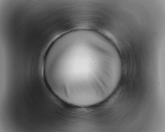 X0000091931227200709261908