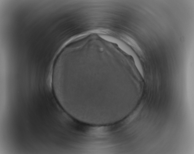 X0000091931228200709261908