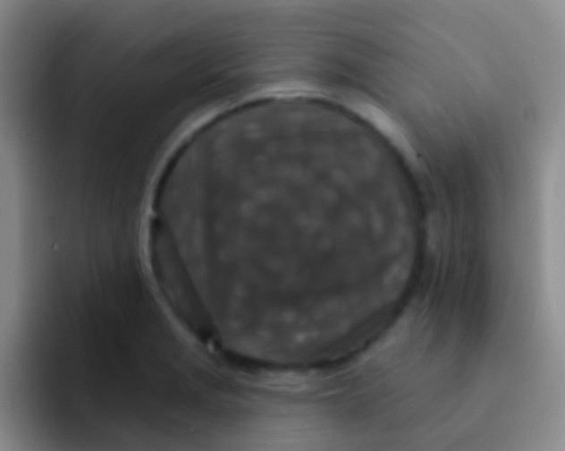 X0000091931229200709261908