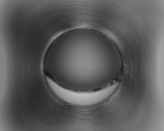 X0000091931230200709261908