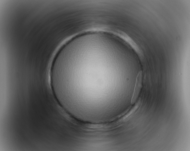 X0000091931232200709261908