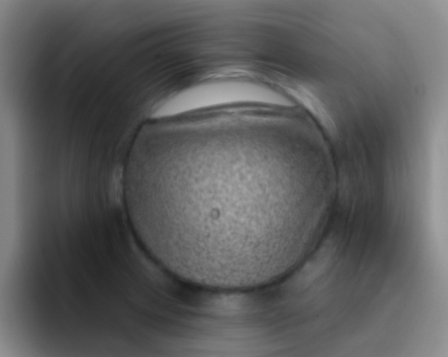 X0000091931233200709261908