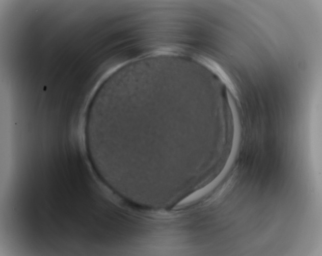 X0000091931235200709261908