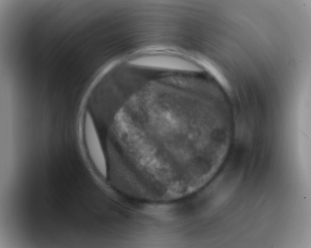 X0000091931237200709261908