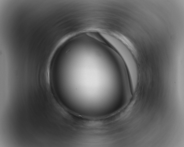 X0000091931238200709261908
