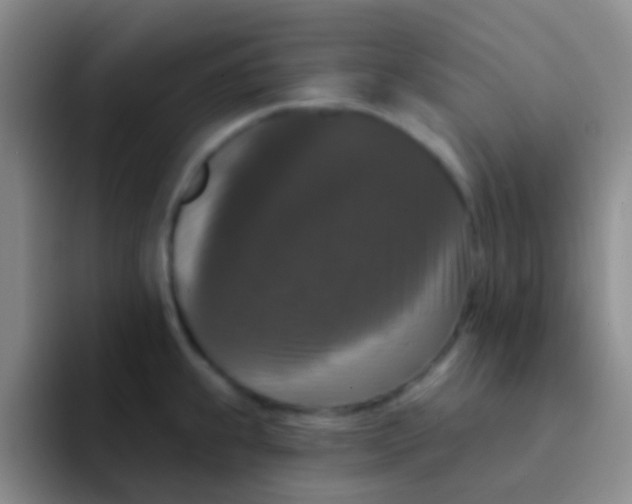 X0000091931239200709261908