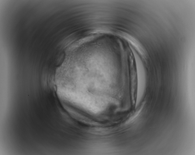 X0000091931241200709261908