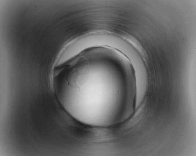 X0000091931242200709261908