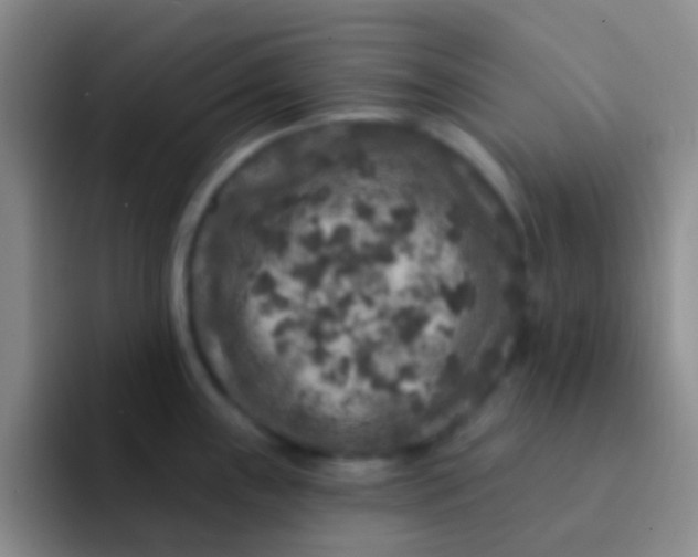 X0000091931243200709261908