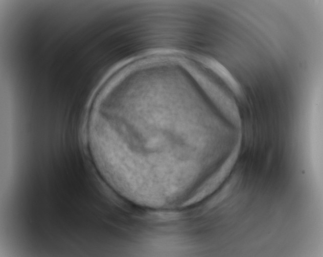 X0000091931244200709261908