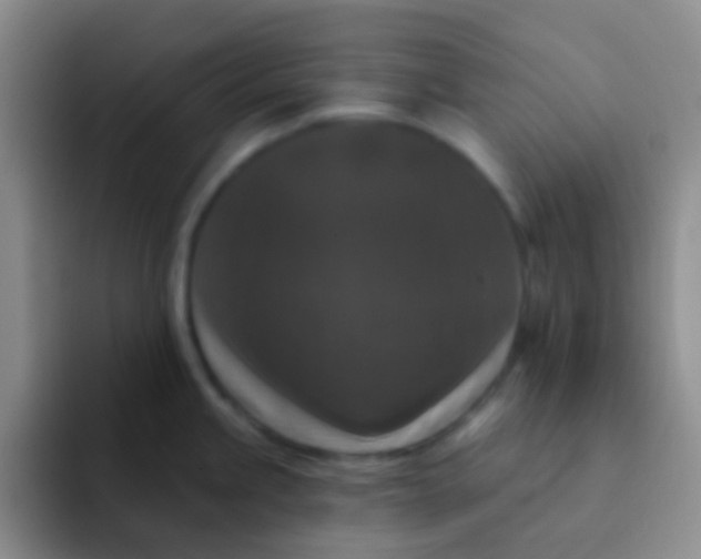 X0000091931245200709261908
