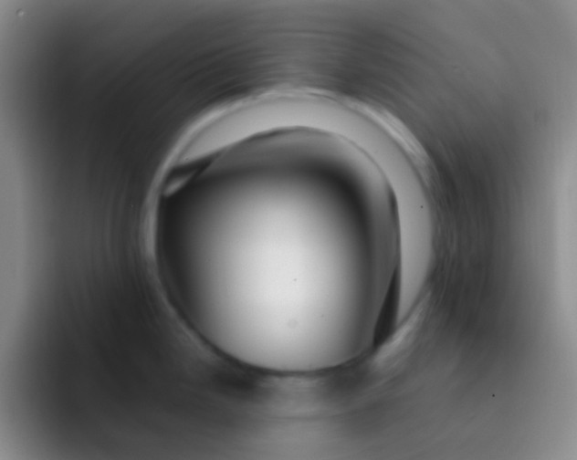 X0000091931246200709261908