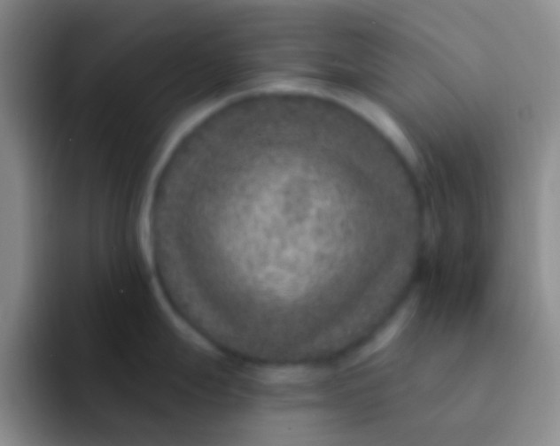X0000091931247200709261908