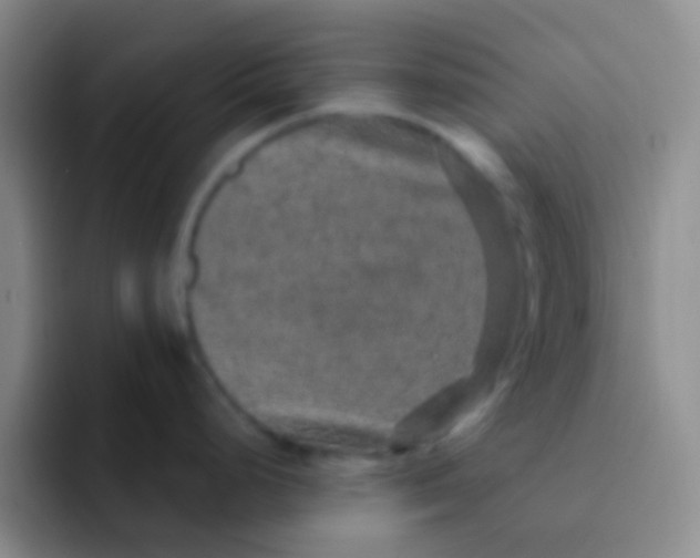 X0000091931248200709261908