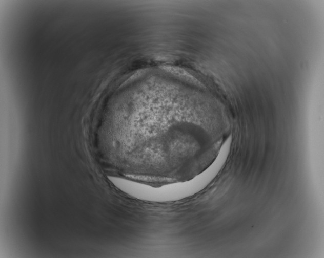 X0000091931249200709261908